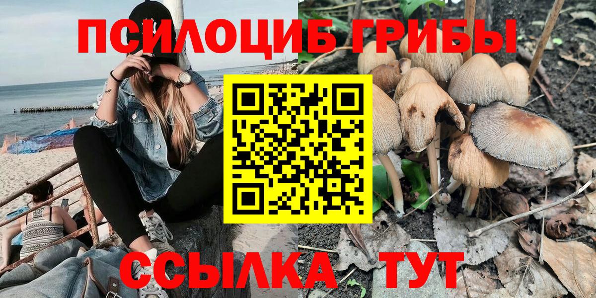 Аксай  Галлюциногенные грибы ЛСД  Вход с VPN 